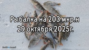 Рыбалка на 203 мкр.н