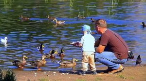 Мне хочется хороших новостей...🎶