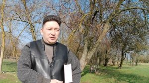 Кто есть маслина?