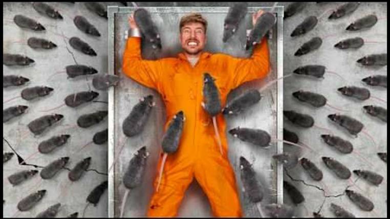 Взгляни в Лицо Своему Страху, Чтобы Выиграть $800,000 смотреть онлайн