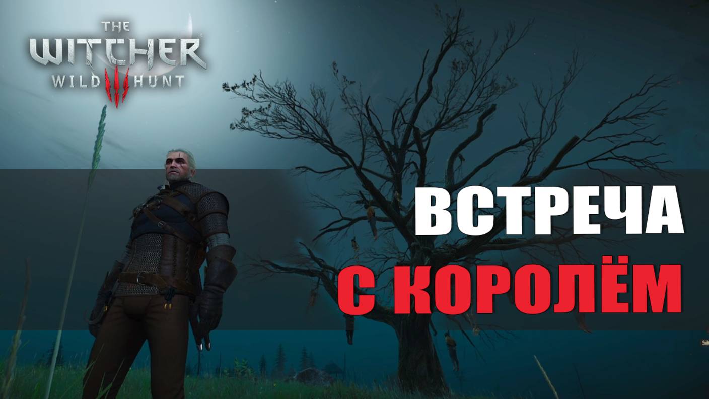 ВСТРЕЧА С КОРОЛЁМ — Ведьмак 3 [#3]