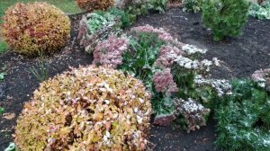 ПРОСТО НОЯБРЬ... ЗАСНЕЖИЛО....