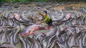 Use High-power Water Pump To Drain Wild Pond To Catch A Lot Of Big Fish Go To Country Market Sell.