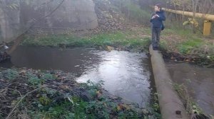 альпинисты