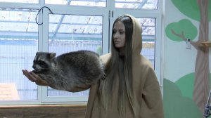 Рязанцам рассказали, стоит ли заводить енота