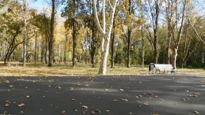 30=10=2025 СОЛНЕЧНЫЙ ОСТРОВ. КРАСНОДАР (105)