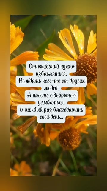 Когда проходят ожидания...