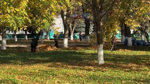 01-11-2025 г.  Субботник