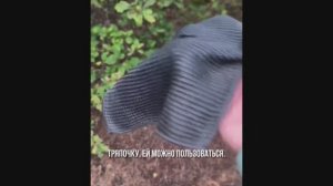 Как отпугнуть комаров и клещей в лесу