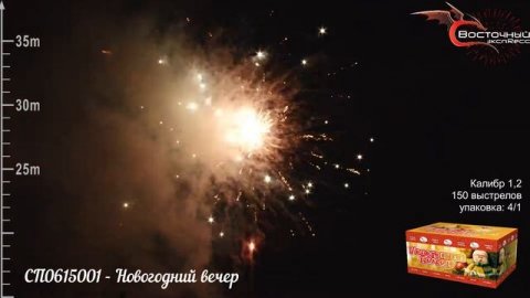 Новогодний вечер