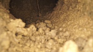 Кротовая нора