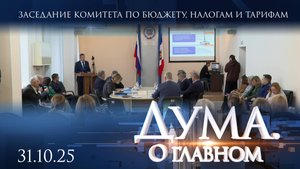 Заседание комитета по бюджету, налогам и тарифам. Дума. О главном