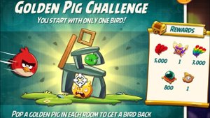 Angry birds: 🐷Это золотые свинки ? Смогут ли победить птички ? Энгри бердс