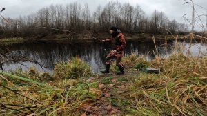 РЫБАЛКА НА ПОПЛАВОЧНУЮ УДОЧКУ 1 НОЯБРЯ