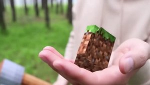 МАЙНКРАФТ В РЕАЛЬНОЙ ЖИЗНИ. SORA.