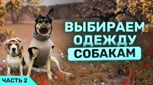 Распаковка одежды для собак. Часть 2.