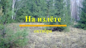 На излёте октября
