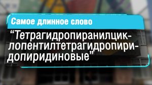 Самое длинное слово в русском языке назвали в Институте Пушкина