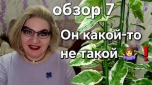 Он какой-то не такой 🤷❗️