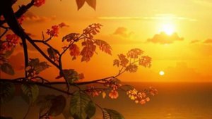 Добрый вечер Пусть вечер принесет тишину