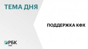 Объём поддержки малых форм хозяйствования в АПК Башкортостана в 2026 г. составит ₽440 млн