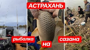 Очумелый клёв сазанов!!! Рыбалка в Астрахани на макушатник. Ловля рыбы с лодки на спиннинг осенью.