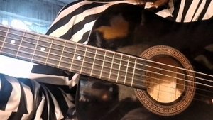 ну это получше чем вчера🫩, Кис-Кис