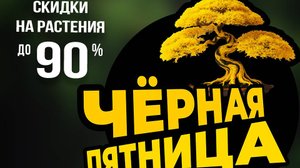 Черная пятница в Ромашкино Парк - 2025