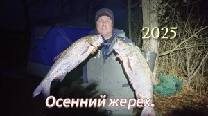 Рыбалка на осеннего жереха