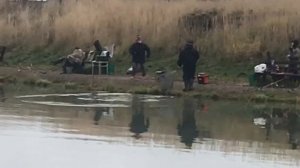 поимка форели на бомбарду