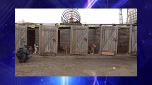 Программа Без опасности // 01.11.25