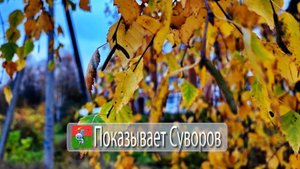 Показывает Суворов 1 ноября 2025