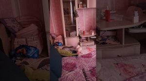 влог с Лили