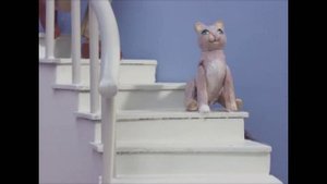 Робоцып. Кошки сволочи