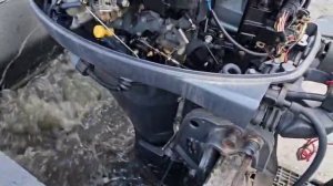 Yamaha F25  (1018508)