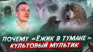 Маленький ёжик, покоривший мир.