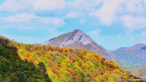 #Коран#АльМаида#СамыеКрасивыеМеста#Relaxation##Islam#Quran#AlMaida#Minshawiy #4кВидео#13часть#