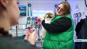 Грумер из Барнаула учит заботиться о красоте и здоровье домашних животных