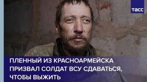Пленный из Красноармейска призвал солдат ВСУ сдаваться, чтобы выжить