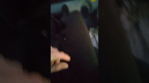 Что стало с «Экватором», погрузчик «Чукурова 888» спустя 4 месяца эксплуатации... Сырой ещё трактор(