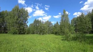 Соловей Своими Трелями Мгновенно Уберёт Усталость И Тревогу. Звуки Природы Наш Лекарь Души И Тела.