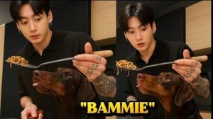 🐕🦺Чонгук не мог перестать смеяться, когда БАММИ внезапно появился во время его трансляции!