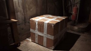 Пропавшую 13-летнюю девочку нашли в коробке в подвале