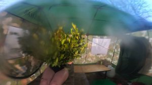 Мобильная баня Мобиба в лесу