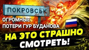 ТАМИР ШЕЙХ / ОГРОМНЫЕ ПОТЕРИ ГУР БУДАНОВА В ПОКРОВСКЕ! 700 ДРОНОВ НА МОСКВУ новости сводки