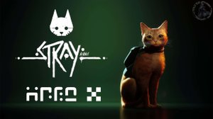 Stray. Тупик (часть 5)