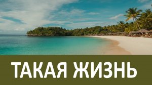 Такая жизнь убивает.... Иоанн Кронштадтский
