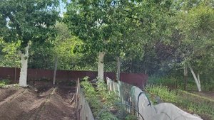 05062024. Красивый дождь на проекте Суворова и обзор огорода.