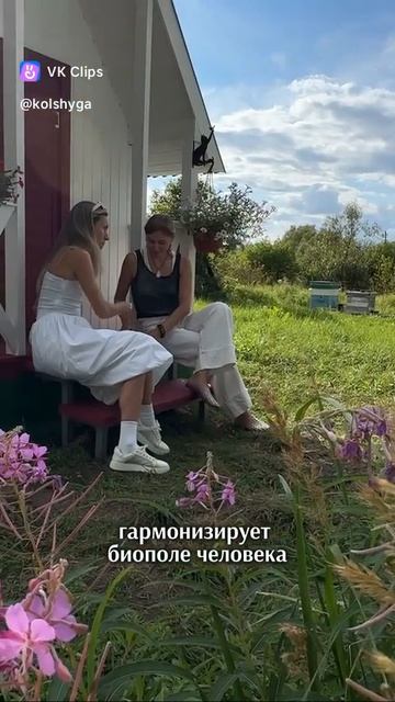 Величанинов