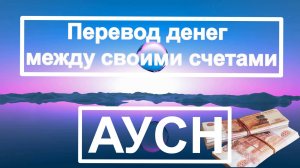 АУСН. Перевод денег между своими счетами. Инструкция